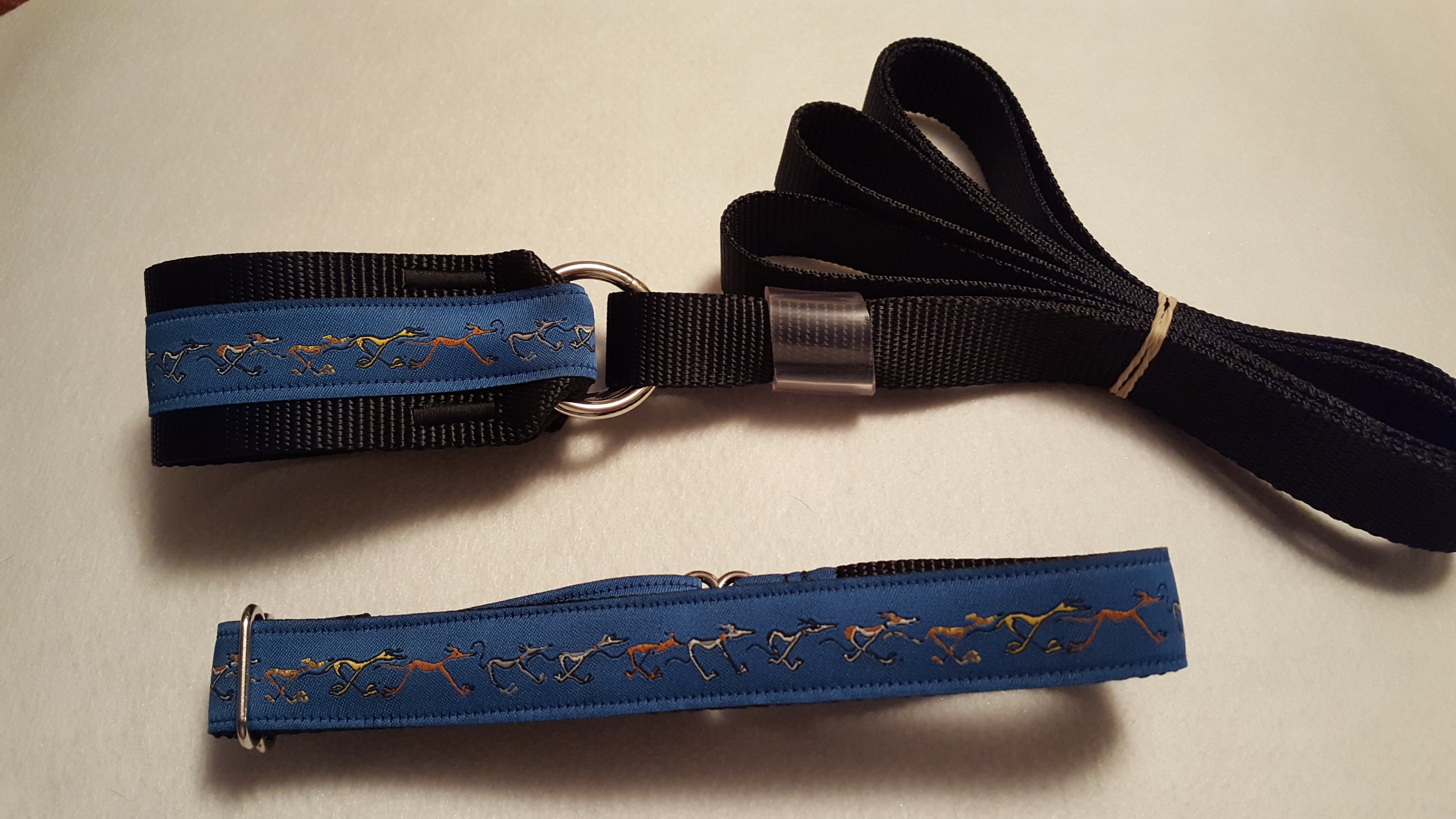 Nellie Doodles Martingale Leash and Collar Combo - Blue - REGAP of Illinois